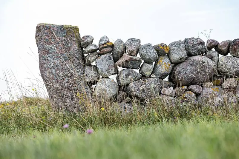 A fieldstone wall in a grassy yard.